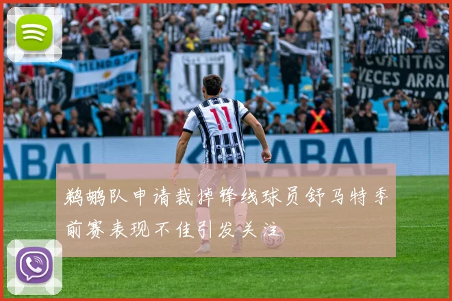 鹈鹕队申请裁掉锋线球员舒马特季前赛表现不佳引发关注