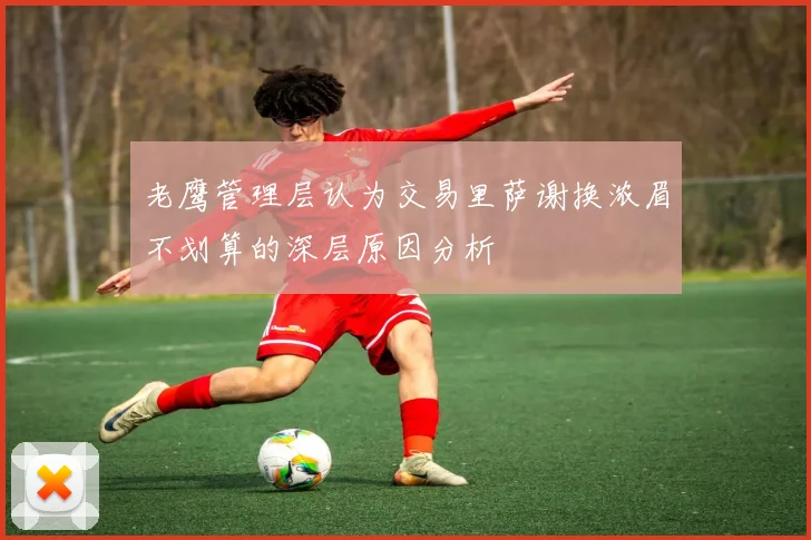 老鹰管理层认为交易里萨谢换浓眉不划算的深层原因分析
